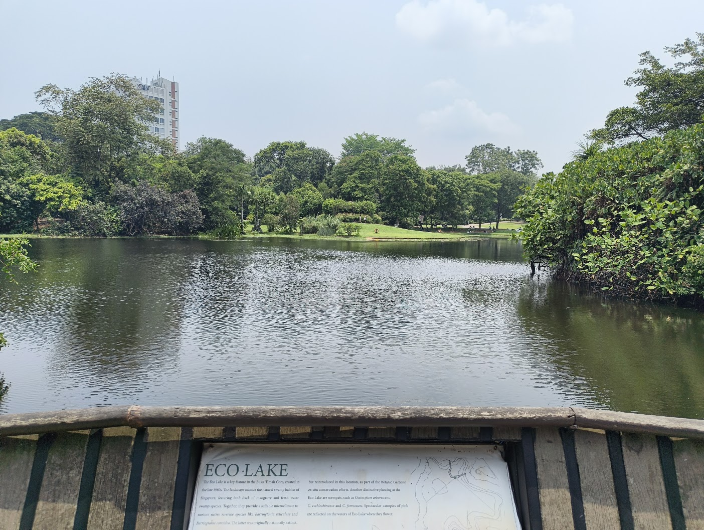 Chilling near the Eco Lake inside the Botanic Gardens